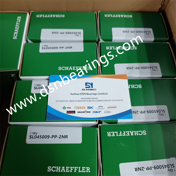 INA SL045009-PP-2NR full roller bearing