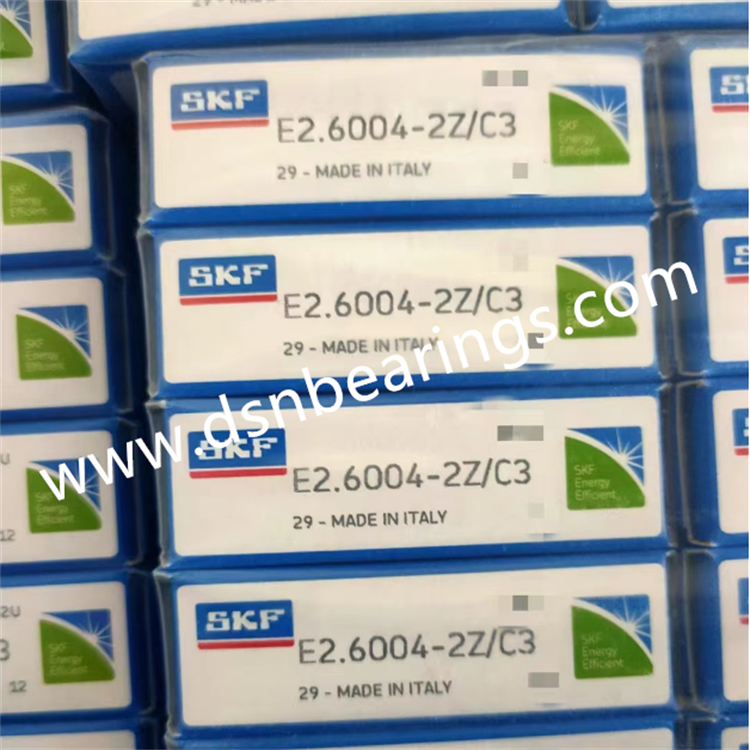 SKF E2.6004-2Z/C3 spindle bearing