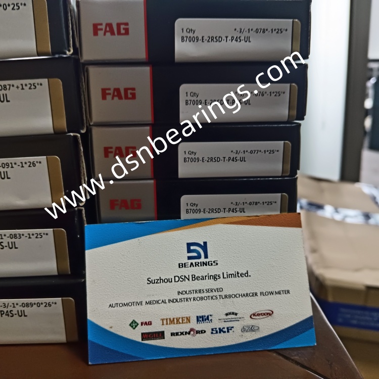 FAG B7009-E-2RSD-T-P4S-UL Main shaft bearing