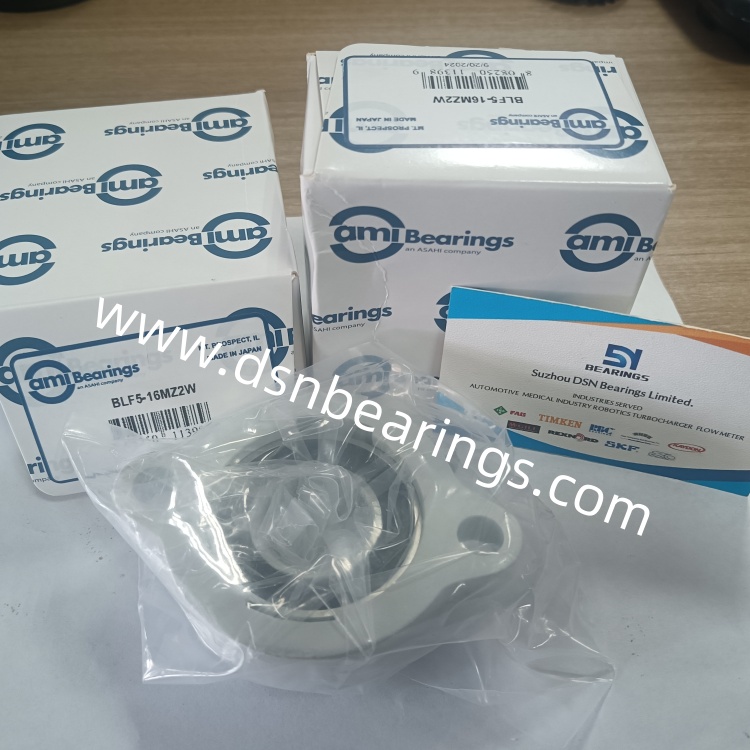 AMI BEARINGS BLF5-16MZ2W FLANGED BLOCK BALL BEARING