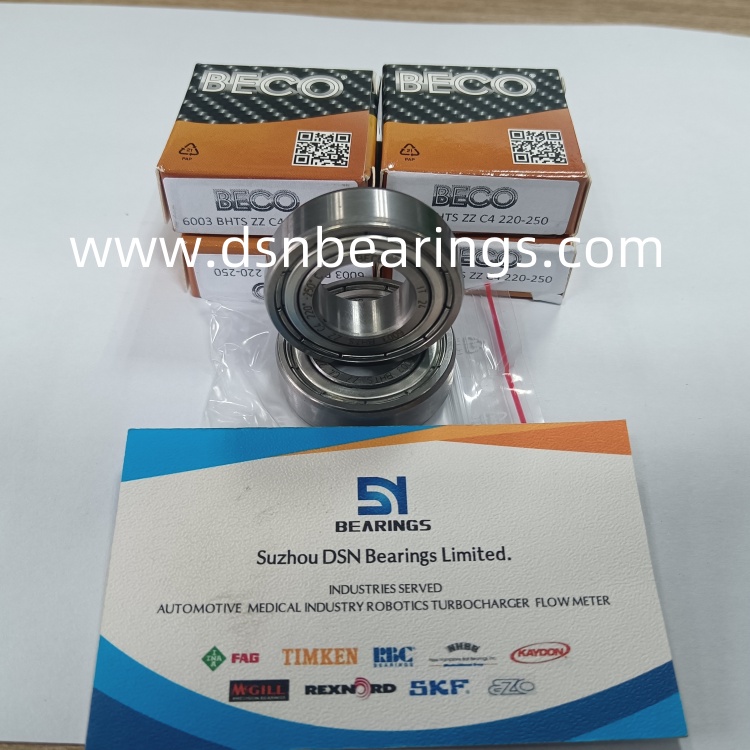 BECO 6003BHTSZZC4 220-250 high temperature bearing